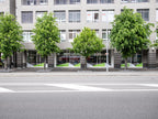 wettingen image_1